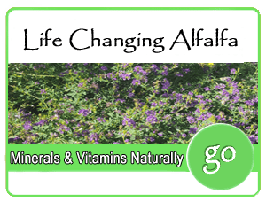Organic Alfalfa Powder